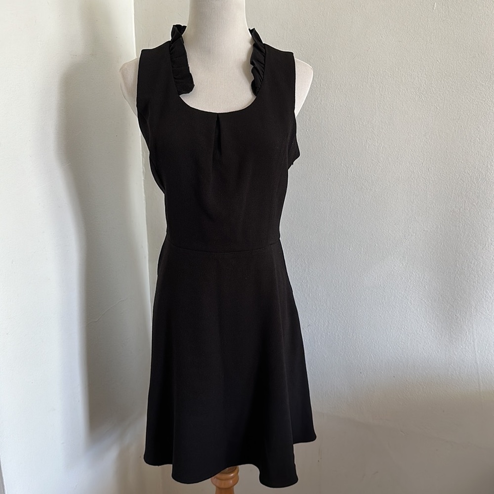 Final Touch- Fit & Flare Sleeveless Dress with Pockets
